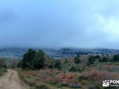 Acebos Montes Carpetanos; viajes senderismo españa